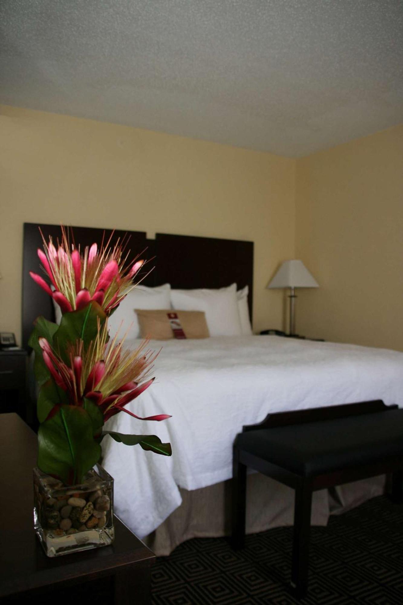 Hampton Inn & Suites Orlando-John Young Parkway/South Park Εξωτερικό φωτογραφία